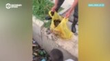 Таджикистанец из своего кармана платит землякам за уборку мусора: 30 сомони за каждый собранный мешок