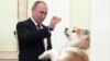 Путин в терминах дзюдо описал переговоры с Японией по территориальному вопросу